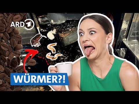 SWR Marktcheck: Schimmel in Kaffeevollautomaten